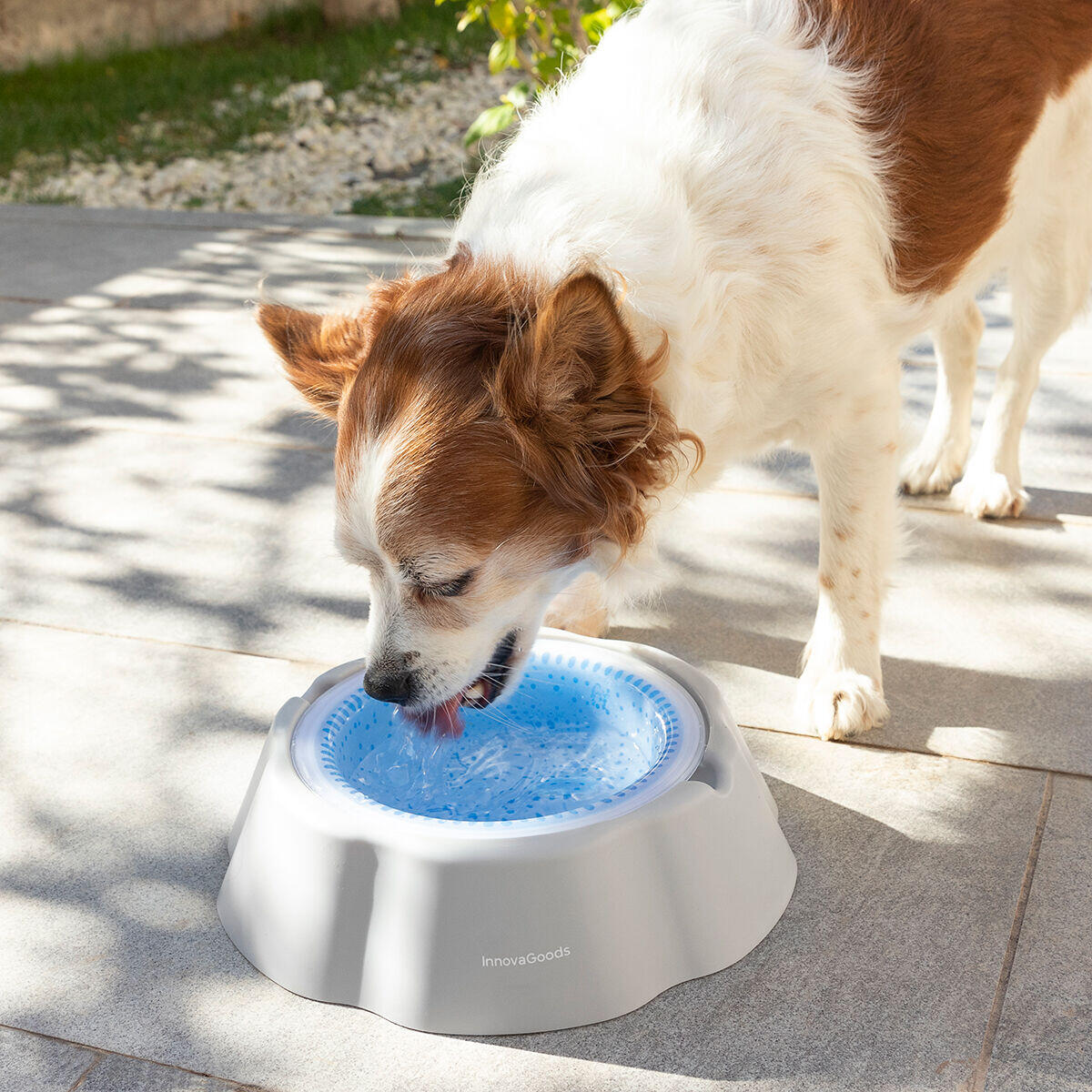 Bebedero Refrescante para Mascotas Freshty InnovaGoods